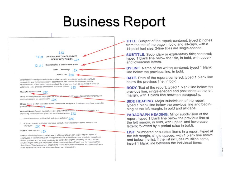 19+ Sample Business Report Templates